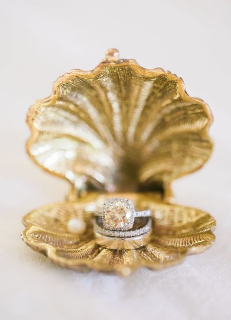 Unique Ring Holder, Engagement Ring Photography, Engagement Ring Holders, Vintage Ring Box, Ring Photography, Yellow Diamonds Engagement, Yellow Diamond Engagement Ring, Shell Ring, Engagement Ring Box