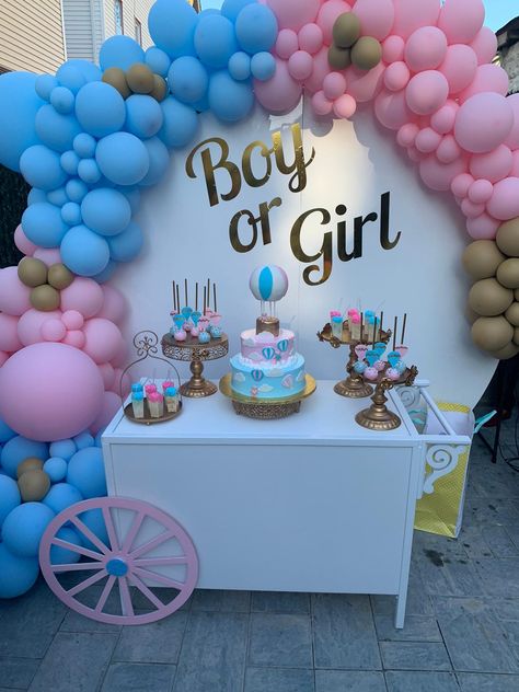 Idee Baby Shower Boy Or Girl, Boy Or Girl Decoracion, Gender Reveal Ideas Decorations, Baby Shower Reveal Ideas, Baby Shower Gender Reveal Cake, Boy Or Girl Party, Indian Baby Shower Decorations, Boy Or Girl Gender Reveal, Baby Reveal Cakes