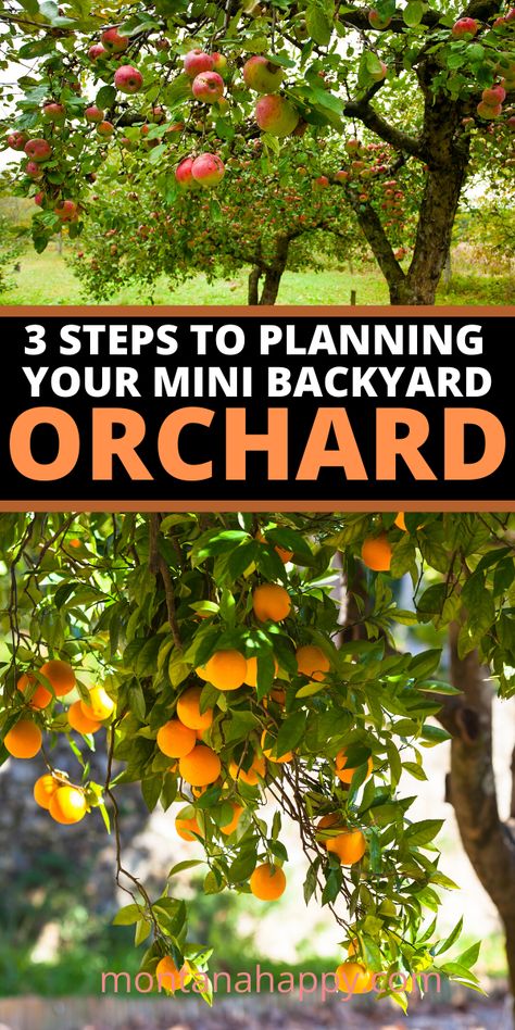 Homesteading Garden, Mini Backyard, Backyard Orchard, Orchard Design, Orchard Garden, Homestead Gardens, Food Garden, Fruit Garden, Kew Gardens