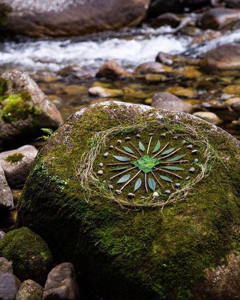 Cordwood Path, Forest Mandala, Biodynamic Gardening, Nature Mandalas, Spiral Garden, Sacred Earth, Nature Mandala, Stone Circle, Earth Art