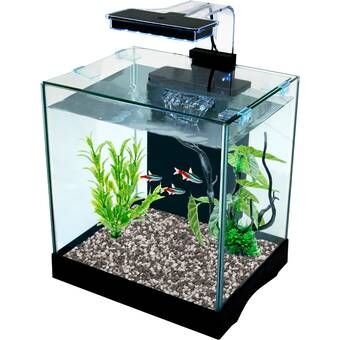 20 Gallon Aquarium Stand, 75 Gallon Aquarium, 5 Gallon Aquarium, 20 Gallon Aquarium, Aquarium Coffee Table, Desktop Aquarium, Glass Fish Tanks, Acrylic Aquarium, Betta Aquarium