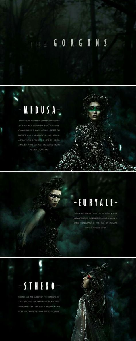 Medusa and her two sisters, Euryale and Stheno were "gorgons." They were all children of the ancient marine deities Phorcys and his sister Ceto. They lived on an island called Sarpedon, near Cisthene. Greek Literature, Venomous Snakes, Greek Mythology Gods, Ancient Goddesses, Greek Gods And Goddesses, Art Female, Greek And Roman Mythology, Roman Mythology, Mythology Art