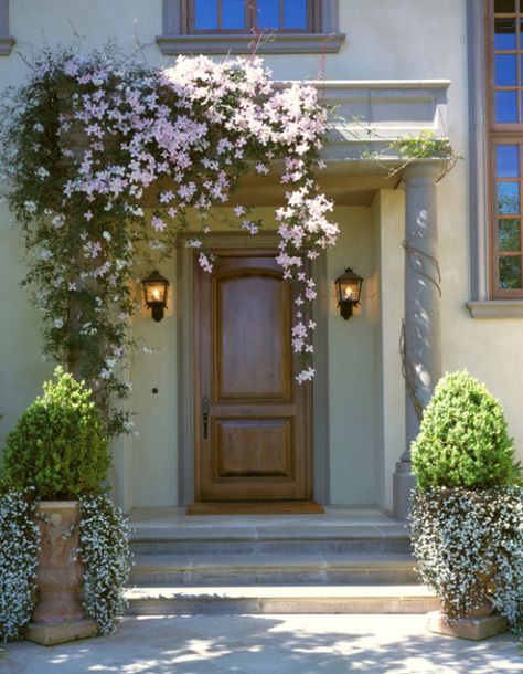 Create a Welcoming Front Door: 7 Ideas - Town & Country Living Front Door Climbing Plant, Front Door Awning Ideas, Front Door Flowers, Flowers Front Door, Clematis Montana Rubens, Welcoming Front Door, Front Door Plants, Door Awning, Trailing Flowers