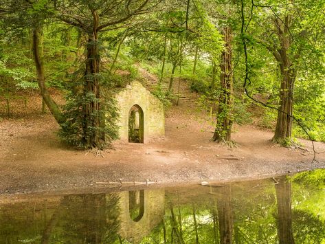 ‘Least stressful spot in England’ is Shropshire’s newest Local Nature Reserve | Shropshire Star Natural Heritage, Old Buildings, Green Space, Nature Reserve, Landscape Design, Old Things, England, History, Old Building