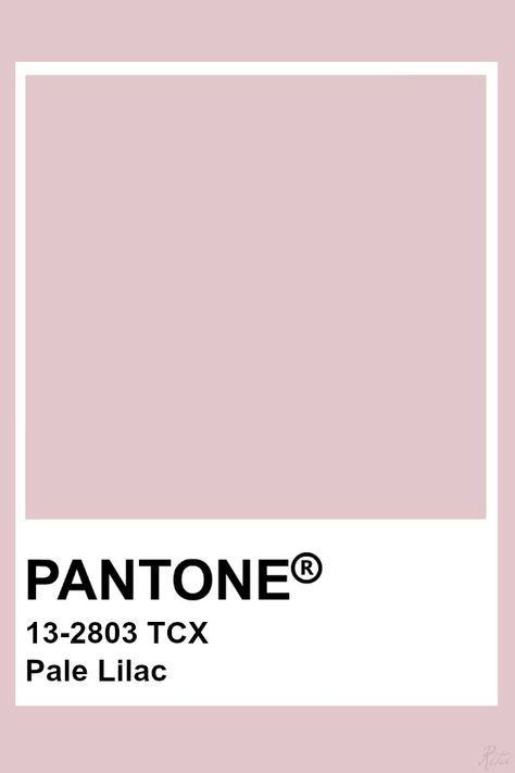 Dusty Pink Pantone, Pantone Template, Lilac Pantone, Pantone Tcx, Pantone Color Chart, Pantone Swatches, Pantone Palette, Pantone Colour Palettes, Pale Lilac