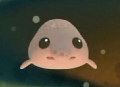 Animated Blobfish