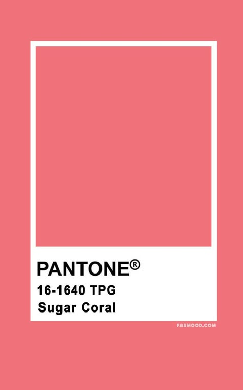 Pantone Sugar Coral 16-1640   #color #colorpalette #pantone pantone pink  #pink Pantone Coral Pink, Coral Pink Colour Palette, Colours Pantone, Wedding Colour Palettes, Coral Pantone, Fab Mood, Mood Wedding, Palettes Color, Pantone Color Chart