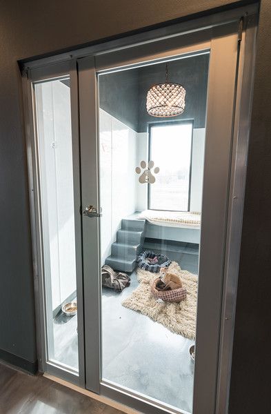 Luxury Suites - Contemporary style - masonco Small Room For Dogs, Dog Room Basement, Closet Turned Into Dog Room, Dog Room In House, Cats Room Ideas, Luxury Pet Room, Dogs Room Ideas, Dog Rooms In House, Pet Room Ideas Dogs