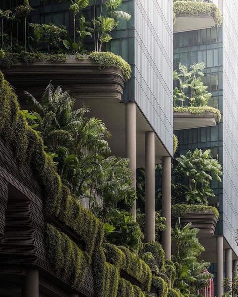 Tropical Modernism, Park Royal, Front Facade, Brutalism Architecture, Building Costs, Dark Green Aesthetic, Green Architecture, Royal Hotel, Green City