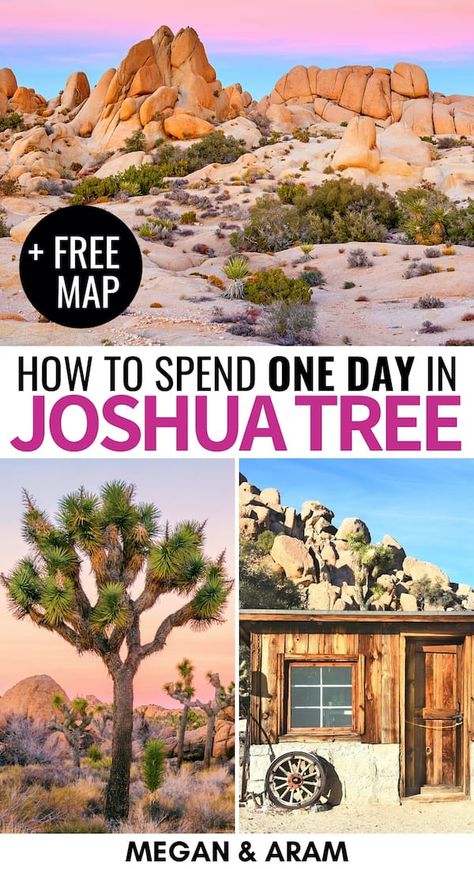 Joshua Tree Park, National Park Itinerary, Twentynine Palms, Tree Day, Beautiful California, Joshua Tree California, Palm Springs California, Desert Oasis, National Parks Trip