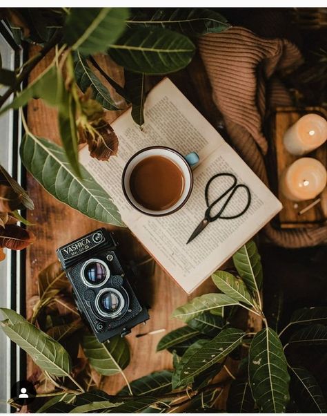 Tea Still Life Photography, Coffee Still Life Photography, Hygge Photography, Coffee Still Life, Aesthetic Still Life Photography, Photography Tea, Instagram Feed Aesthetic, Whimsical Cottagecore, Coffee Vibes