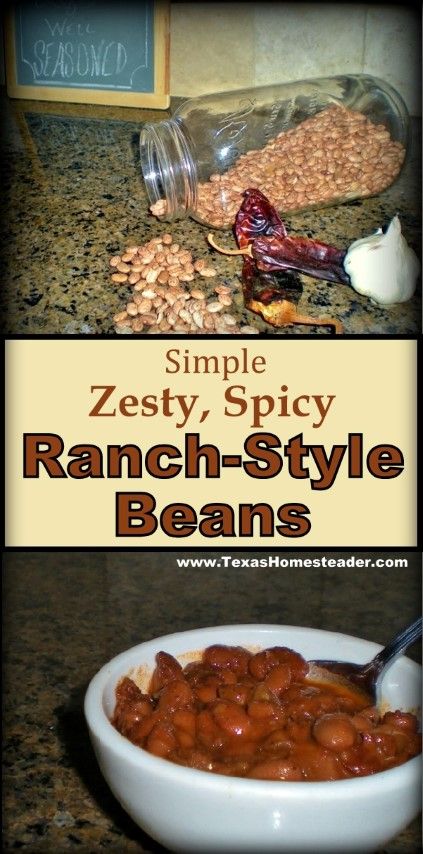 Ranch Beans Recipe, Ranch Style Beans Recipe, Ranch Style Beans, Beans In Crockpot, Small Slow Cooker, Pinto Bean Recipes, Chili Ingredients, Dried Peppers, Homemade Ranch