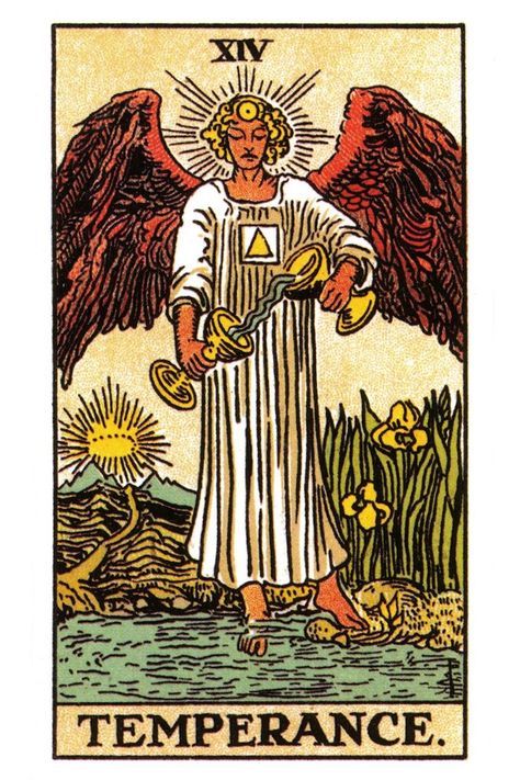 Temperance Tarot card meaning. Shaman Journey, Temperance Tarot Card, Temperance Tarot, Kartu Tarot, Rider Waite Tarot Decks, Tarot Significado, 78 Tarot Cards, Tarot Gratis, Major Arcana Cards