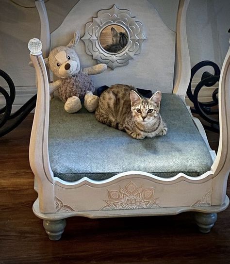 Coffee Table Cat Bed, End Table Cat Bed, Fancy Cat Bed, End Table Pet Bed, End Table Dog Bed, Diy Elevated Dog Bed, Creative Dog Bed, Upcycled Pet Bed, Celestial Princess