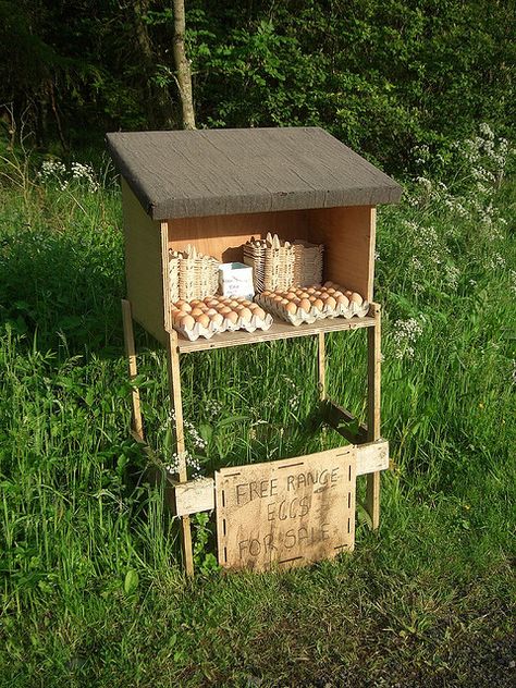 Cool.... honesty boxes.. If only there were no thieves... Chickens Backyard Breeds, Selling Eggs, Best Egg Laying Chickens, Free Range Eggs, Eggs For Sale, Vegetable Stand, Egg Laying Chickens, Coop Ideas, Backyard Chicken Farming