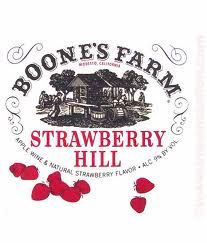 1970s Boones Farm Strawberry Hill Wine. Along with Annie Green Springs and Ripple wines, how teenagers got drunk back in the day. Very sweet wines. Makes me sort of sick thinking about them! Boones Farm Wine, Apple Wine, 70s T Shirts, Strawberry Hill, Wine Logo, Strawberry Wine, Red Neck, Beer Theme, Vintage Papers