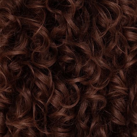 Bronze Hair Aesthetic, Brown Curls Aesthetic, Bronze Curly Hair, Chestnut Brown Hair Curly, Hazel Color Aesthetic, Brown Curly Hair Aesthetic, Curly Red Hair Aesthetic, Dark Ginger Curly Hair, Chocolate Curly Hair