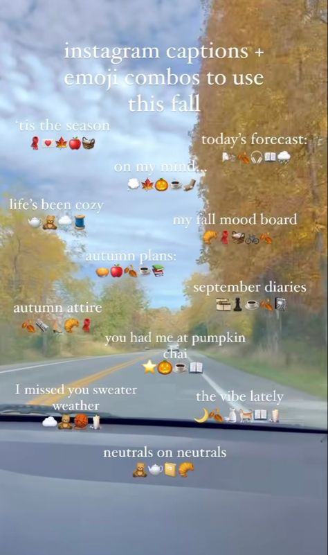 Fall Emojis Aesthetic, Insta Captions Quotes, Golden Days Caption, Things To Post On Your Instagram Story, Thanksgiving Stories Instagram, Fall Caption Ideas For Instagram, Instagram Thank You Story Ideas, Stories Quotes Instagram, Cute Story Captions