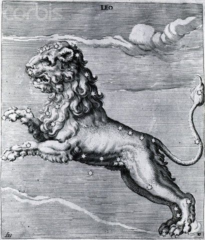 Engraving Of The Lion; Constellation Lion Engraving, Zodiac Illustration, Leo Constellation Tattoo, Winged Lion, Constellation Art, Living In Amsterdam, Zodiac Signs Leo, Omega Constellation, Constellation Tattoos