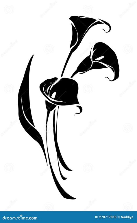 Calla Lily Illustration, Calla Lily Art, Calla Lily Flowers, Flowers Vector, Lily Tattoo, Lily Flowers, Flowers Black, White Illustration, Black Silhouette