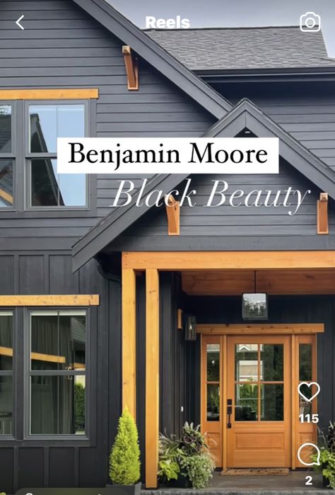 Black House Siding, Houses Painted Black, Moody Exterior House Colors, Black Exterior House Colors, Black Exterior House, Dark Exterior House Colors, Black Exterior Paint, Black Home Exterior, Exterior Paneling