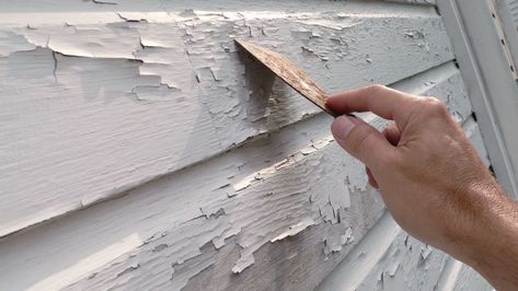 As your house ages and wood gets weathered, bringing it back to shape with a fresh paint job takes a few extra steps. https://www.moneypit.com/tips-painting-weathered-wood/ House Painting Tips, Paint Trim, House Trim, Home Improvement Loans, Pintura Exterior, Peeling Paint, House Paint Exterior, Exterior Trim, Home Repairs