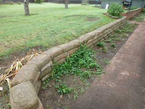 Concrete bags for a retaining wall, saw an article in This Old House Magazine.  (Directions said; place bags, wet for 5 days straight and when cured, peal off the paper, solid wall.)  Will be doing around the huge oak tree at edge of back yard, then plant lots of Giant Elephant Ears... Concrete Bag Retaining Wall, Garden Hardscape, Canyon House, Concrete Bags, Wall Concrete, Wet Basement, Bag Wall, Concrete Retaining Walls, Patio Layout