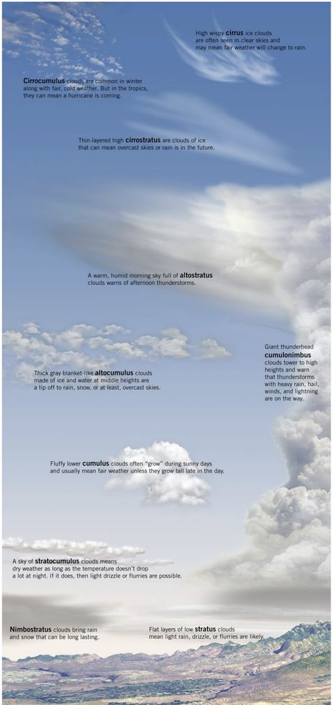 What do different clouds mean for the weather? Different Clouds Types Of, Different Kinds Of Clouds, Meteorology Notes, Cloud Facts, Clouds Meaning, Cloud Meaning, Clouds Types, Type Of Clouds, Cirrostratus Clouds