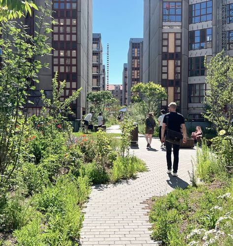 The Social Spine - Øresundskollegiet’s New Rooftop Park — SLA Landscape And Urbanism Architecture, Scandinavian Green, Linear Park, Green Facade, Green Roofs, Student Housing, Plant Covers, Landscape And Urbanism, Urban Furniture