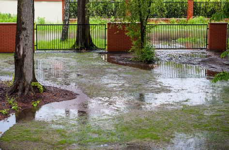 7 Ways to Solve Landscape Drainage Problems - Is Your Property Experiencing Drainage Problems? Anyone who has experienced a flooded basement, damage to their home’s foundations and interior understands the importance of proper drainage. Landscape Drainage, Backyard Drainage, Drainage Ditch, Yard Drainage, French Drain, Drainage Solutions, Yard Project, Rain Garden, Up House