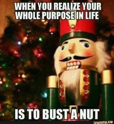 Funny Nutcracker, Winter Humor, Pick Up Line Jokes, Cute Country Couples, Funny Artwork, Christmas Jokes, Christmas Memes, Bust A Move, Purpose In Life