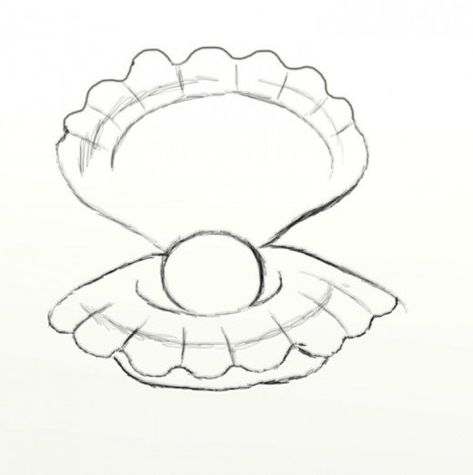 Learn how to draw an opened clam with a pearl in the center. Pearled clams are beautiful and this is a must see tutorial if you want to learn how to draw something fun and visually appealing. Clam Drawing, Seashell Drawing, Shell Drawing, Sea Drawing, Pearl Paint, Arte Disney, Anime Drawings Tutorials, Clam Shell, Art Drawings Sketches Simple