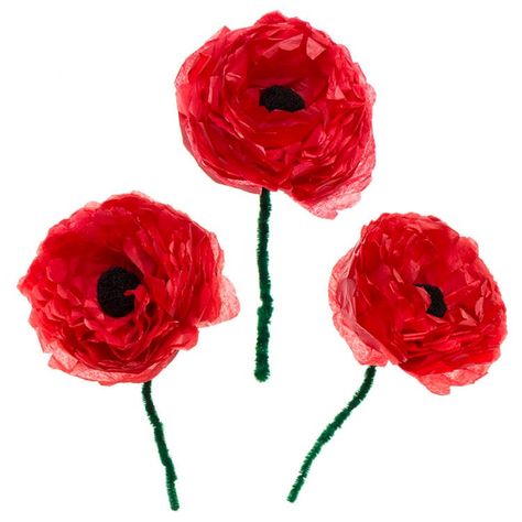 Tissue Paper Poppies, Paper Plate Poppy Craft, Poppy Craft For Kids, Paper Poppies, Remembrance Day Activities, Remembrance Day Art, Poppy Craft, Happy Hooligans, Remembrance Day Poppy