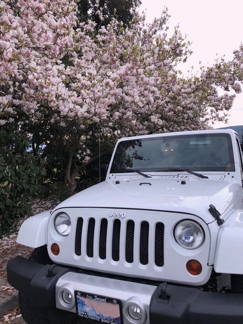 Wrangler Wallpaper, Jeep Aesthetic, White Jeep Wrangler, Jeep Wallpaper, Car Aesthetics, Summer Vsco, Western Glam, White Jeep, Pink Jeep