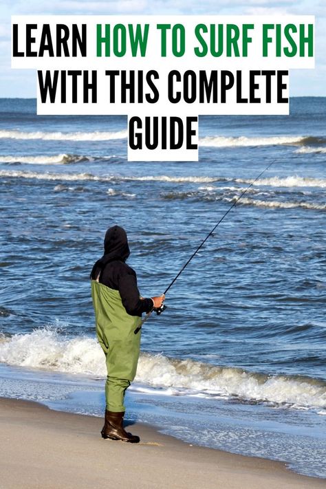 Surf Fishing Gear, Surf Perch Fishing, Surf Fishing Tips, Surf Fishing Rigs, Surf Fishing Rods, Saltwater Fishing Gear, Fishing Hacks, Fishing Basics, Bottom Fishing