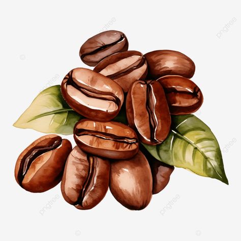 coffee beans watercolor ai generated coffee beans coffee beans watercolor coffee png Coffee Bean Painting, Coffe Drawings Cute, Coffee Journal Ideas, Coffee Illustration Graphics, Coffee Bean Drawing, Coffee Bean Illustration, Coffee Beans Illustration, Coffee Beans Art, Watercolor Art Coffee