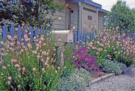 Coastal Landscaping, Seaside Garden, Drought Tolerant Garden, Cottage Garden Design, Coastal Gardens, English Cottage Garden, Beach Cottage Style, Beach Gardens, Coastal Cottage