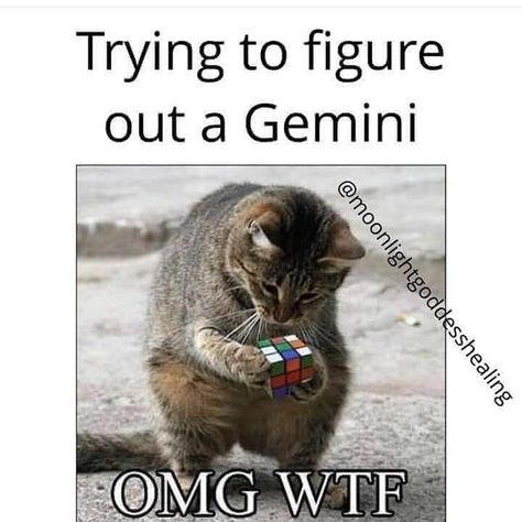 Gemini Quotes Funny, Gemini Funny, Funny Spiritual Memes, All About Gemini, Gemini Personality, Gemini Traits, Gemini Girl, Gemini Quotes, Zodiac Signs Chart