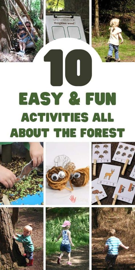 Forest Gross Motor Activities, Forest Animal Toddler Activities, Forest Animals Art Preschool, Forest Theme Activities For Preschool, Preschool Forest Animals Activities, Forest Activities For Toddlers, Forest School Activities Eyfs, Woodland Animals Activities, Forest Activities For Kids