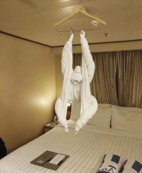 Towel Origami, Towel Animals, Ways Of Learning, 웃긴 사진, Hotel Room, Funny Animal Pictures, Nature Beautiful, Funny Fails, Best Funny Pictures