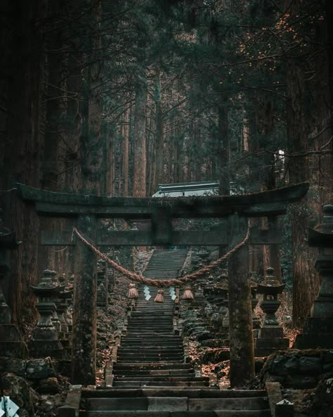 Old Japanese Aesthetic, Shrine Wallpaper, Shrine Aesthetic, Temple Aesthetic, Japan Shrine, Japanese Shrines, Japanese Shrine, Ancient Japan, Shinto Shrine