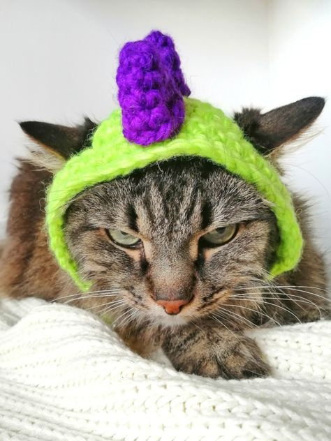 Free Crochet Hat Pattern For Cats, Cats Personalities, Crochet Pattern Cat Hat, Hat For Cats Crochet Pattern, Crochet Cowboy Cat Hat Free Pattern, Crochet Dinosaur Hat For Dog, Hat For Cats Crochet, Crochet Dinosaur Hat, Cats Crochet