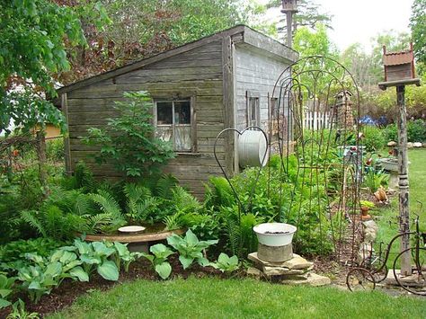 Borders Garden, Bar Mini, Lean To Shed, Hosta Gardens, Small Backyard Gardens, Backyard Sheds, Outdoor Sheds, Potting Shed, Seasonal Garden