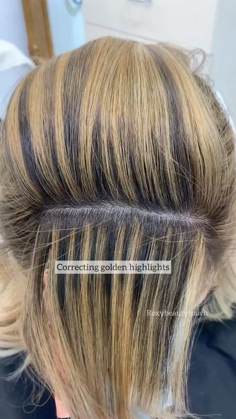 Color Correction Hair, White Hair Color, Golden Highlights, Blonde Hair Inspiration, Hair Brained, Beauty School, Hair Dresser, Color Correction, White Hair