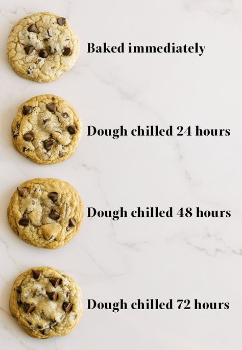 Why bother to take the time and patience to chill your cookie dough before baking up homemade chocolate chip cookies? I’m sharing with you the SCIENCE behind ‘marinating’ your cookie dough so you get cookies just as good as the bakery style ones! Plus how long and the benefits of it! Time And Patience, Homemade Chocolate Chips, Homemade Chocolate Chip Cookies, Why Bother, Cookie Business, Baking Science, Chocolate Chip Cookie Dough, Chewy Cookie, Chocolate Chip Cookie