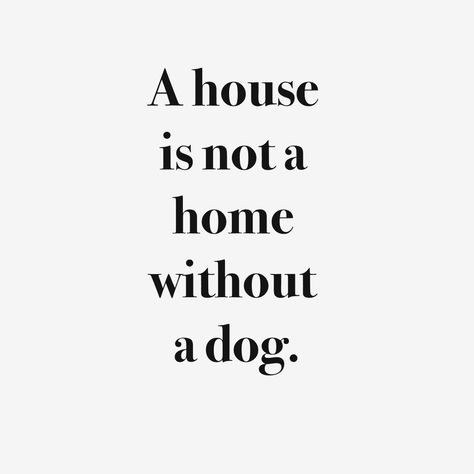 Dog Quote, 20th Quote, Life Quotes Love, Bohol, Best Friend Quotes, Animal Quotes, Dog Quotes, Love Your Life, A Quote