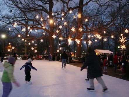 Backyard Ice Rink, Backyard Rink, Outdoor Skating Rink, Outdoor Ice Skating, Outdoor Skating, Ice Skating Rink, Winter Bucket List, Skating Rink, Ice Rink