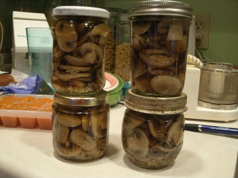 I was looking for a recipe for pickled mushrooms that tasted like the ones you buy in the grocery or liquor store.  The type used in cocktails.  Came across this one from Morton Salt.  I havent tried it yet. http://www.mortonsalt.com/recipes/RecipeDetail.aspx?RID=38 Pickled Mushrooms Recipe, Pickled Mushrooms, Canning Pickles, Pickled Eggs, Marinated Mushrooms, Metabolic Diet, Vegetable Drinks, Pickling Recipes, Healthy Eating Tips