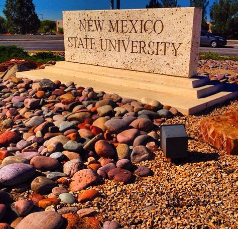 Msu Aesthetic, San Jose State University Aesthetic, New Mexico Aesthetic, Minot State University, Abiquiu New Mexico, New Mexico State University, University Of New Mexico, Vision Board Pictures, Eyes On The Prize