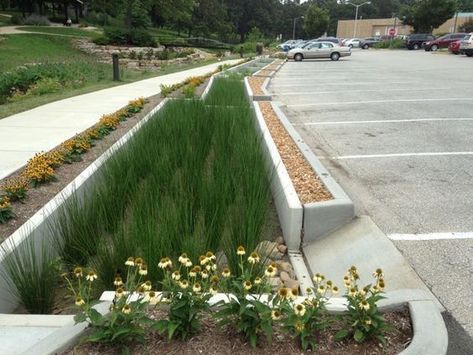 Altier Dresiseitl, Tanner Springs Park, Portland, Oregon | Garden and Landscape Garden Design Architecture, Rain Garden Design, Retention Pond, Gazebo Decorations, Streetscape Design, Water Harvesting, Water From Air, Rain Gardens, Rainwater Harvesting System